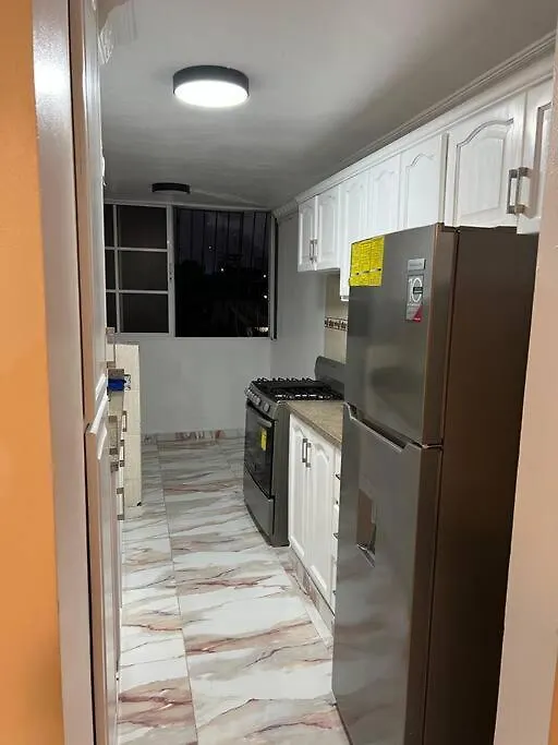 Moderno Apt En La Ciudad サントドミンゴ アパート